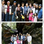 Big Trees 5
